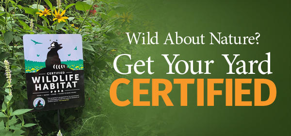 Certify Your Yard