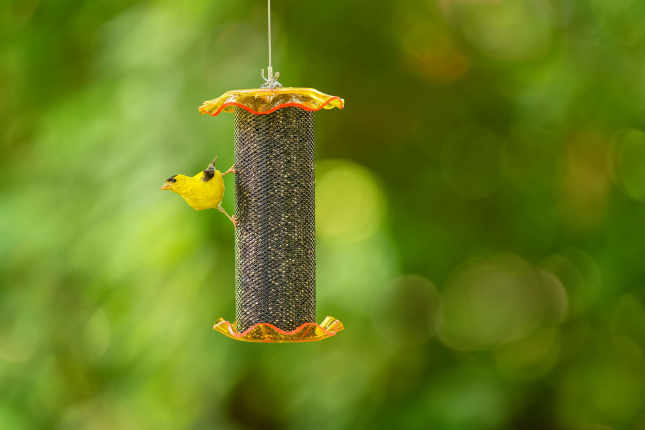 Goldfinch + Blossom Mesh Finch Feeder