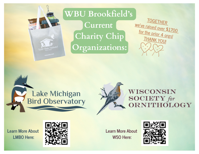 Charity Chip Fundraiser